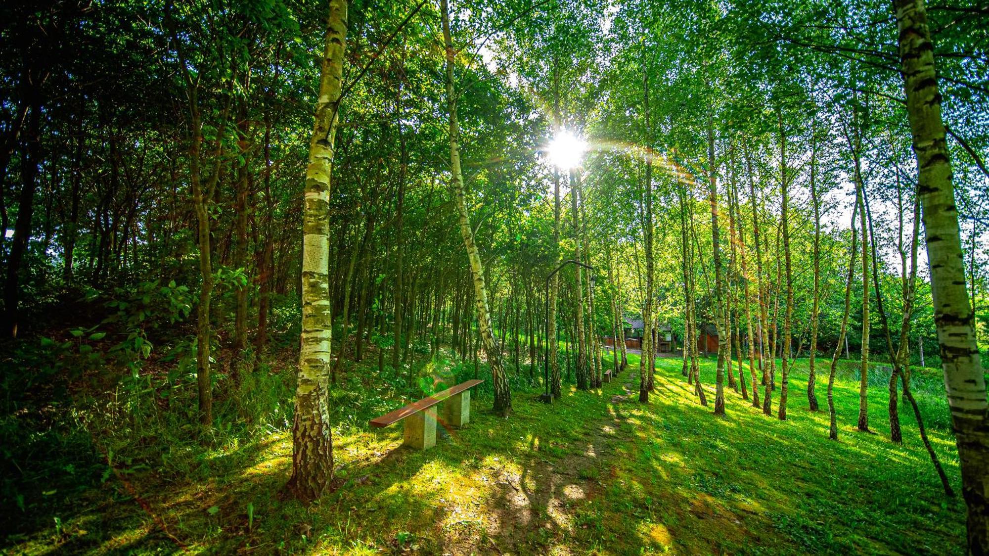 Вилла Zacisze Wojtowa Lipinki  Экстерьер фото
